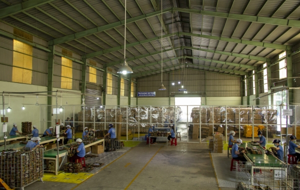 Why Choose Vietnam For Bag Manufacturing?